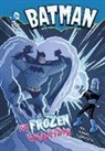 Eric Fein, Eric/ Schigiel Fein, Lee Loughridge, Gregg Schigiel - My Frozen Valentine