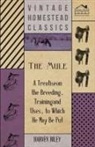 Harvey Riley - The Mule - A Treatise on the Breeding, Training and Uses, to Which He May Be Put
