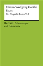 Ulrich Gaier, Johann Wolfgang von Goethe, Ulrich Gaier - Johann Wolfgang Goethe 'Faust', Der Tragödie Erster Teil