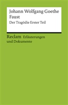 Ulrich Gaier, Johann Wolfgang Von Goethe, Ulrich Gaier - Johann Wolfgang Goethe 'Faust', Der Tragödie Erster Teil