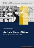 Ronny Heidenreich - Aufruhr hinter Gittern
