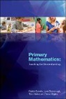 Patrick Barmby, Patrick Bilsborough Barmby, Lynn Bilsborough, Tony Harries, Steve Higgins - Primary Mathematics: Teaching for Understanding