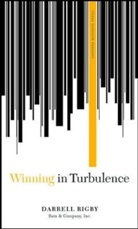 Darrell Rigby, Rigby Darrell - Winning in Turbulence