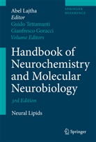 A. Lajtha, Gianfrancesc Goracci, Gianfrancesco Goracci, Abel Lajtha, Guido Tettamanti - Handbook of Neurochemistry and Molecular Neurobiology: Handbook of Neurochemistry and Molecular Neurobiology