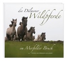 JÃ¶rg Gierse, Jör Gierse, Jörg Gierse, Gregor Schläger, Gregor SchlÃ¤ger, Gregor Schläger - Die Dülmener Wildpferde im Merfelder Bruch
