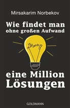 Mirsakarim Norbekov - Wie findet man ohne großen Aufwand eine Million Lösungen