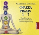 Kalashatra Govinda, Ronald P. Schweppe - Chakra Praxis. Tl.1-7, 7 Audio-CDs (Audio book)