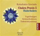 Kalashatra Govinda, Ronald P. Schweppe - Chakra Praxis, 1 Audio-CD. Tl.5 (Audio book)