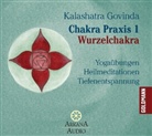 Kalashatra Govinda, Ronald P. Schweppe - Chakra Praxis, 1 Audio-CD. Tl.1 (Audio book)