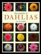 Bill McClaren, MCCLAREN BILL - Encyclopedia of Dahlias