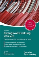Josef Dörndorfer - Zwangsvollstreckung effizient. Bd.1