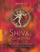 vinod Verma - Shivas Geheimnis