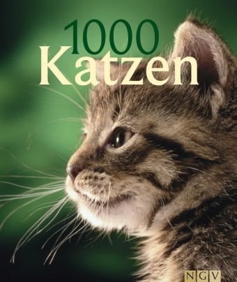 Birgit Adam, Birgit/Ralston Adam, Julia Christ, Beate Ralston - 1000 Katzen