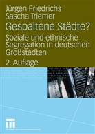 Juerge Friedrichs, Juergen Friedrichs, Jürgen Friedrichs, Sascha Triemer - Gespaltene Städte?