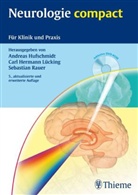 Andreas Hufschmidt, Carl H. Lücking, Carl Hermann Lücking, Sebastian Rauer - Neurologie compact, m. DVD-ROM