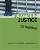 Mario L Hesse, Mario L L Hesse, Mario L. Hesse, Richard Lawrence, Richard A Lawrence, Richard A a Lawrence... - Juvenile Justice
