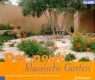 Jill Billington - Der neue klassische Garten