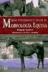 Robert Oliver - Guía fotográfica tutor de morfología equina