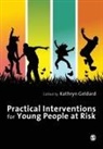Kathryn Geldard, Kathryn Geldard, Kathryn Geldard, Geldard Kathryn - Practical Interventions for Young People At Risk