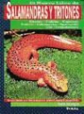 Frank Indiviglio - El nuevo libro de las salamandras y tritones