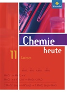 Chemie heute SII, Ausgabe 2008 für Sachsen: 11. Schuljahr, Schülerband