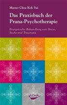 Kok Sui Choa, Choa Kok Sui, Choa Kok Sui - Das Praxisbuch der Pranapsychotherapie