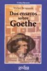 Walter Benjamin - Dos ensayos sobre Goethe