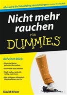 David Brizer - Nicht mehr rauchen für Dummies