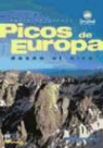 Darío Rodríguez, Dionisio Serrano - Picos de Europa desde el aire