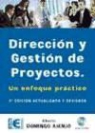 Alberto Domingo Ajenjo - Dirección y gestión de proyectos