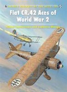 Richard Caruana, Hakan Gustavsson, Håkan Gustavsson, Ludovico Slongo, Slongo Ludovico, Richard Caruana... - Fiat CR 42 Aces of World War 2