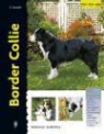 Estephen Sussam - Border collie
