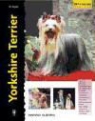Rachel Keyes - Yorkshire terrier