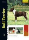Bethany Gibson - Bull terrier
