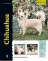 Barbara J. Andrews - Chihuahua