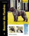 Robert Pollet - Bouvier des flandres