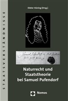 Dieter Hüning - Naturrecht und Staatstheorie bei Samuel Pufendorf