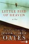 Joyce Carol Oates - Little Bird of Heaven