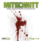 Anonymus - Mitschnitt, 4 Audio-CDs. Folge.1-4 (Audio book)