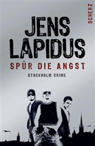 Jens Lapidus - Spür die Angst