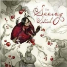 Daniela Terrazzini, Jane Yolen, Daniela Terrazzini, Daniela Jaglenka Terrazzini - The Seeing Stich