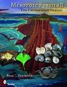 Bruce L. Stinchcomb, Bruce L Stinchcomb, Bruce L. Stinchcomb - Mesozoic Fossils II
