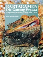 Peter M Müller, Peter M. Müller, Peter Maria Müller, Peter-Maria Müller - Bartagamen - Die Gattung Pogona