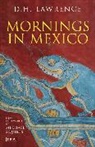 D H Lawrence, D. H. Lawrence - Mornings in Mexico