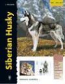Lorna Winslette - Siberian husky