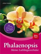 Jörn Pinske - Phalaenopsis - meine Lieblingsorchidee