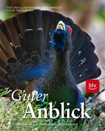 Mangol, Jörg Mangold, Marek, Eric Marek, Erich Marek - Guter Anblick Impressionen aus heimischen Jagdrevieren