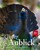 Mangol, Jörg Mangold, MAREK, Eric Marek, Erich Marek - Guter Anblick