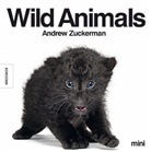 Andrew Zuckerman - Wild Animals mini