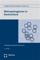 Jürgen Ludwig, Klaus Mandel, Christopher Schwieger, Georgios Terizakis - Metropolregionen in Deutschland